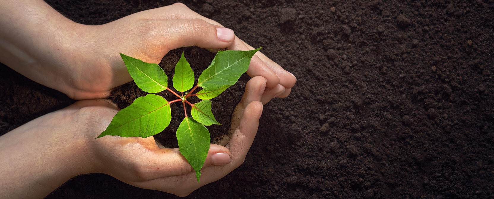 Taking risks and trying new advertising methods will allow the brand to grow and flourish. And as the brand grows, our multifamily marketing agency grows, too. Here are 6 keys to success.