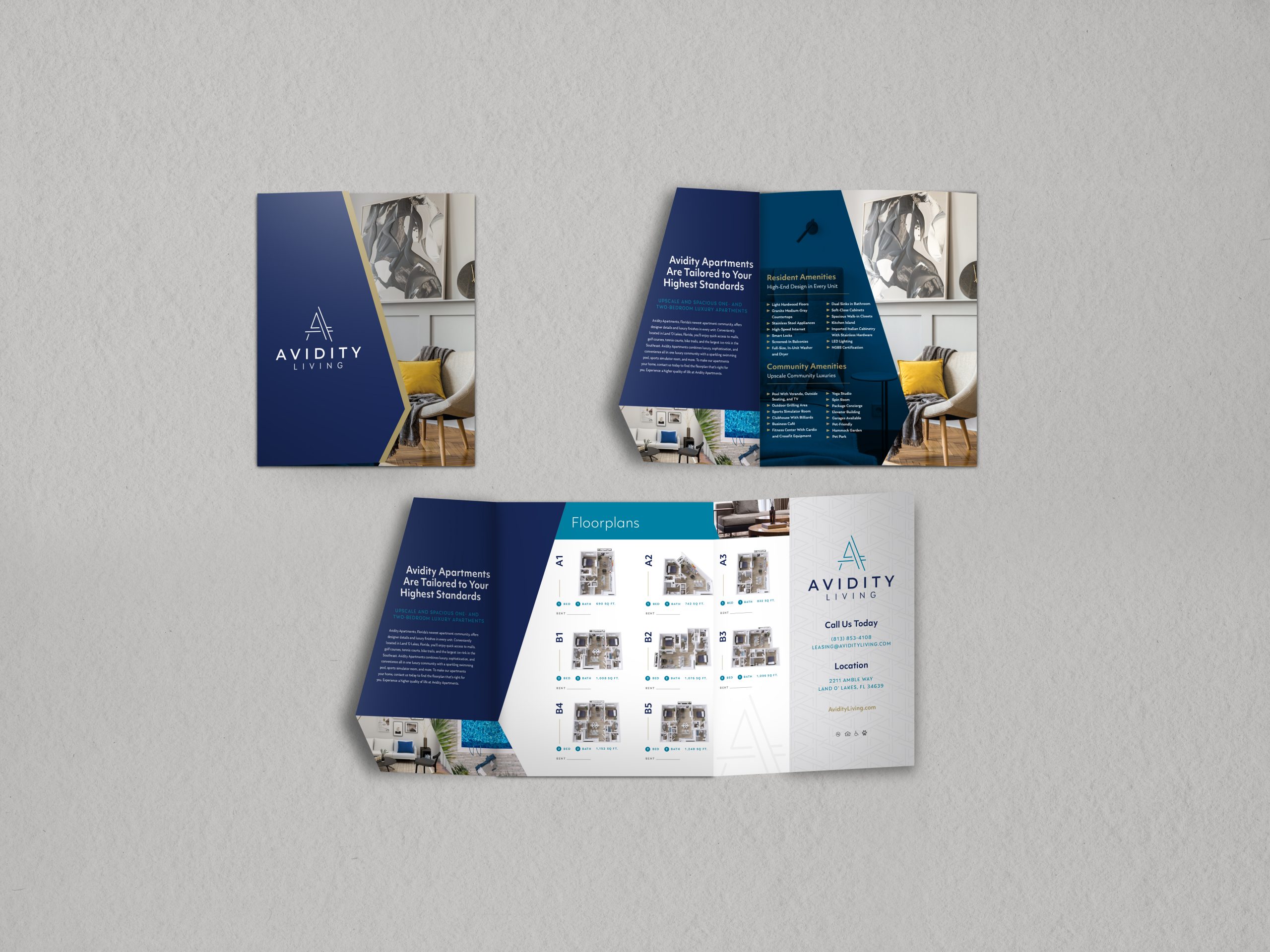 Avidity Brochure Mockup