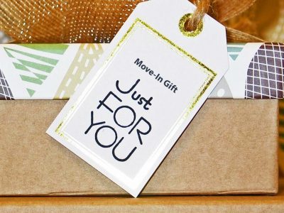 Move-in gifts for apartments can range from functional items to luxurious tokens. Here are some standout ideas that weave in multifamily branding for a personal touch.